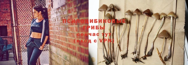 прущий лед Алзамай